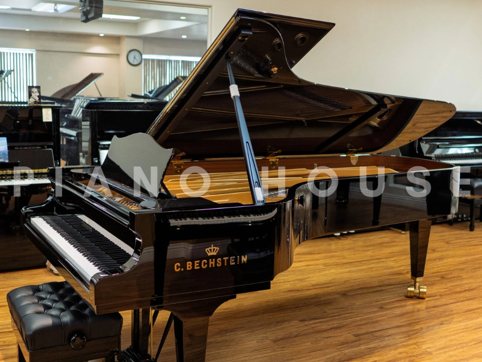 C.Bechstein Concert D282